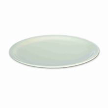 9‘’ Plate
