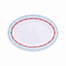 12'' oval plate