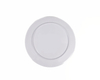 8" plate