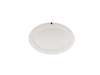 20" oval plate
