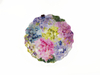 8.75"/11.5" flower soup plate
