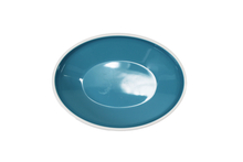 8" PLATE